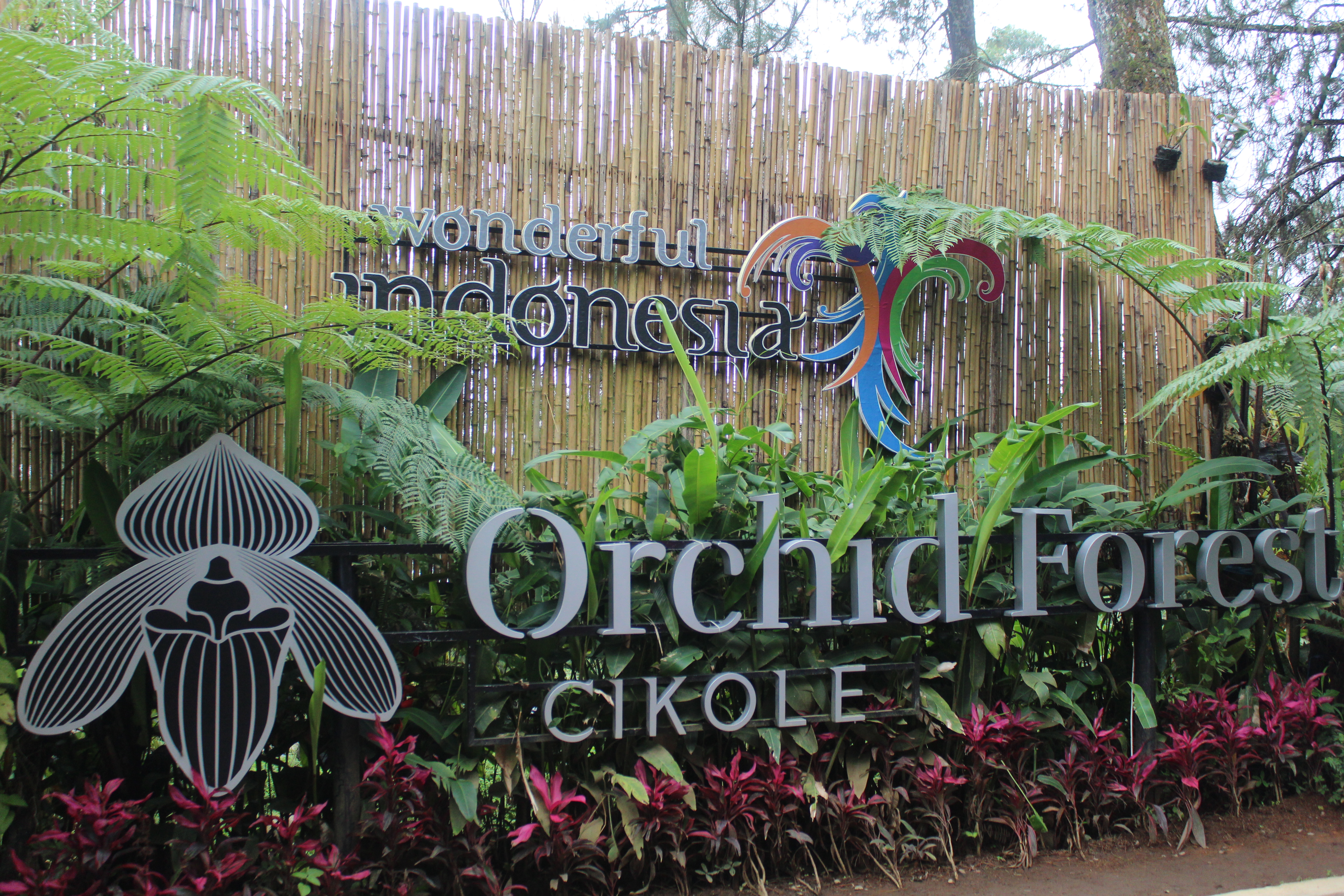 Orchid Forest Cikole