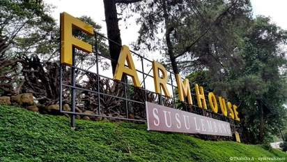 Farmhouse Susu Lembang